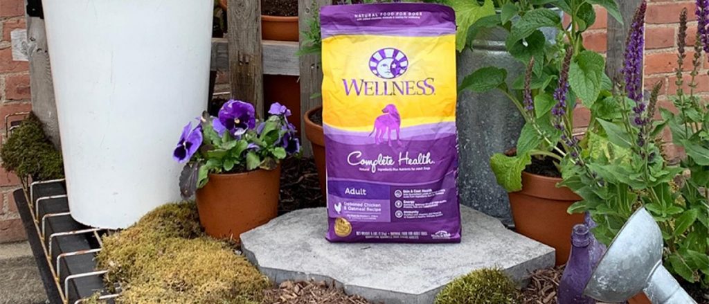Wellness Complete Health Chicken outside