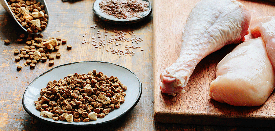 Is a Raw Meat Diet Healthy For My Cat?