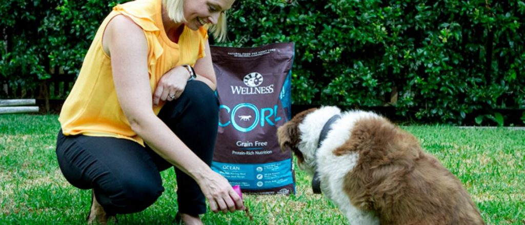 dog eating Wellness CORE dog food