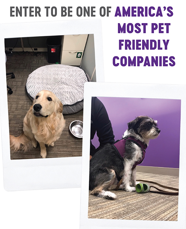 america's most pet friendly companies