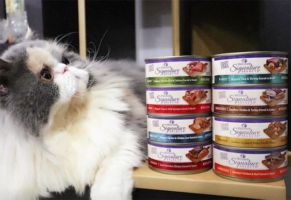 Wellness CORE Signature Selects flaked wet cat food