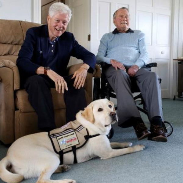 Sully service dog president Bush