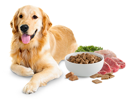 dog for dog pet food