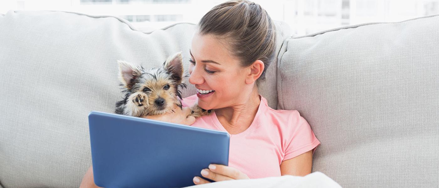 Understanding Cat Food Labels Wellness Pet Food Singapore