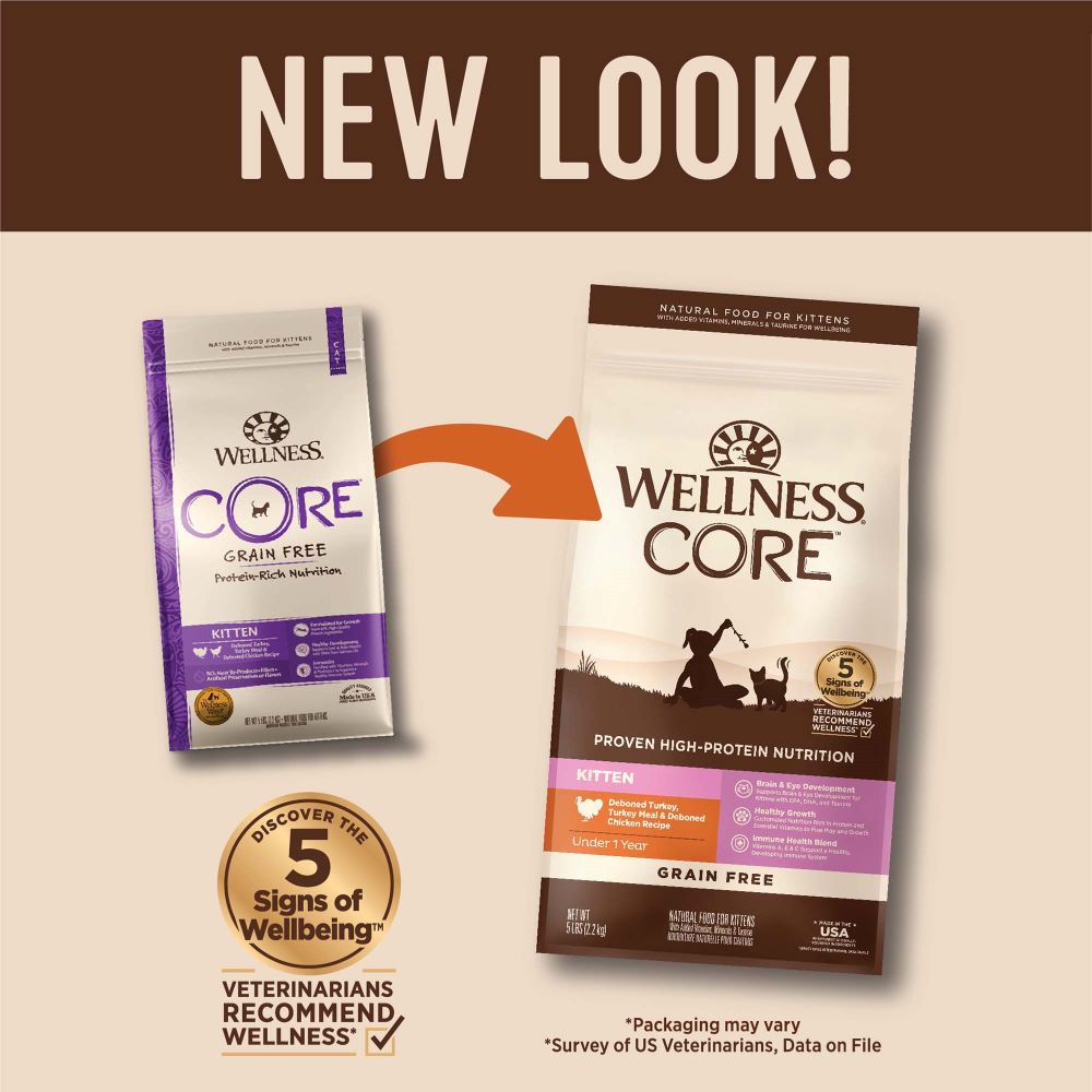 Wellness core kitten food outlet