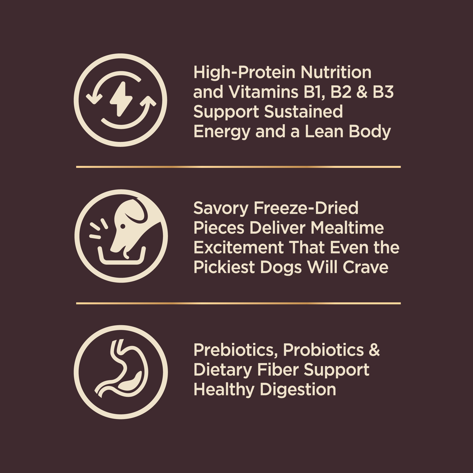 Small Breed Original Turkey Chicken with Freeze Dried Turkey Wellness Pet Food Singapore