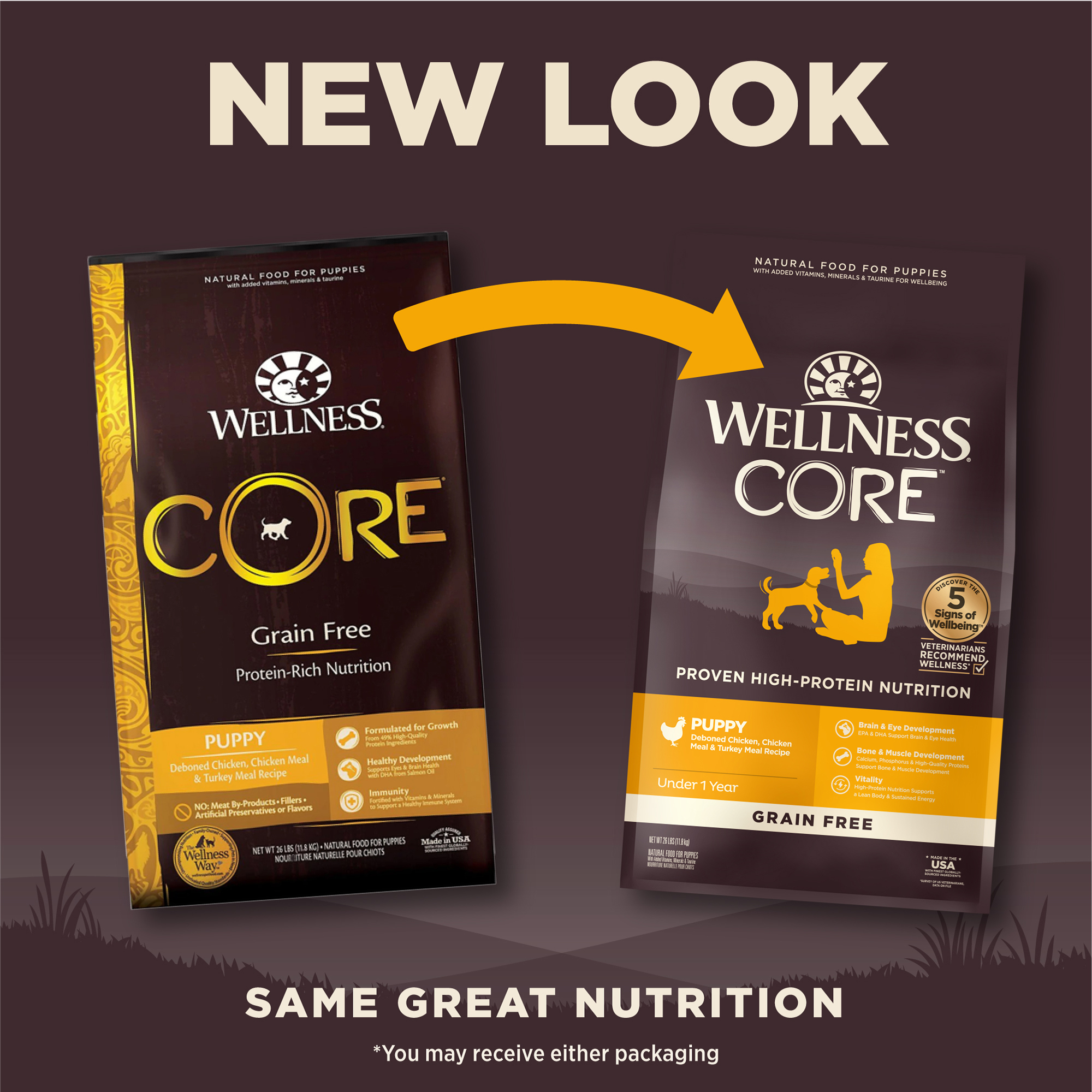 Wellness core puppy wet food sales