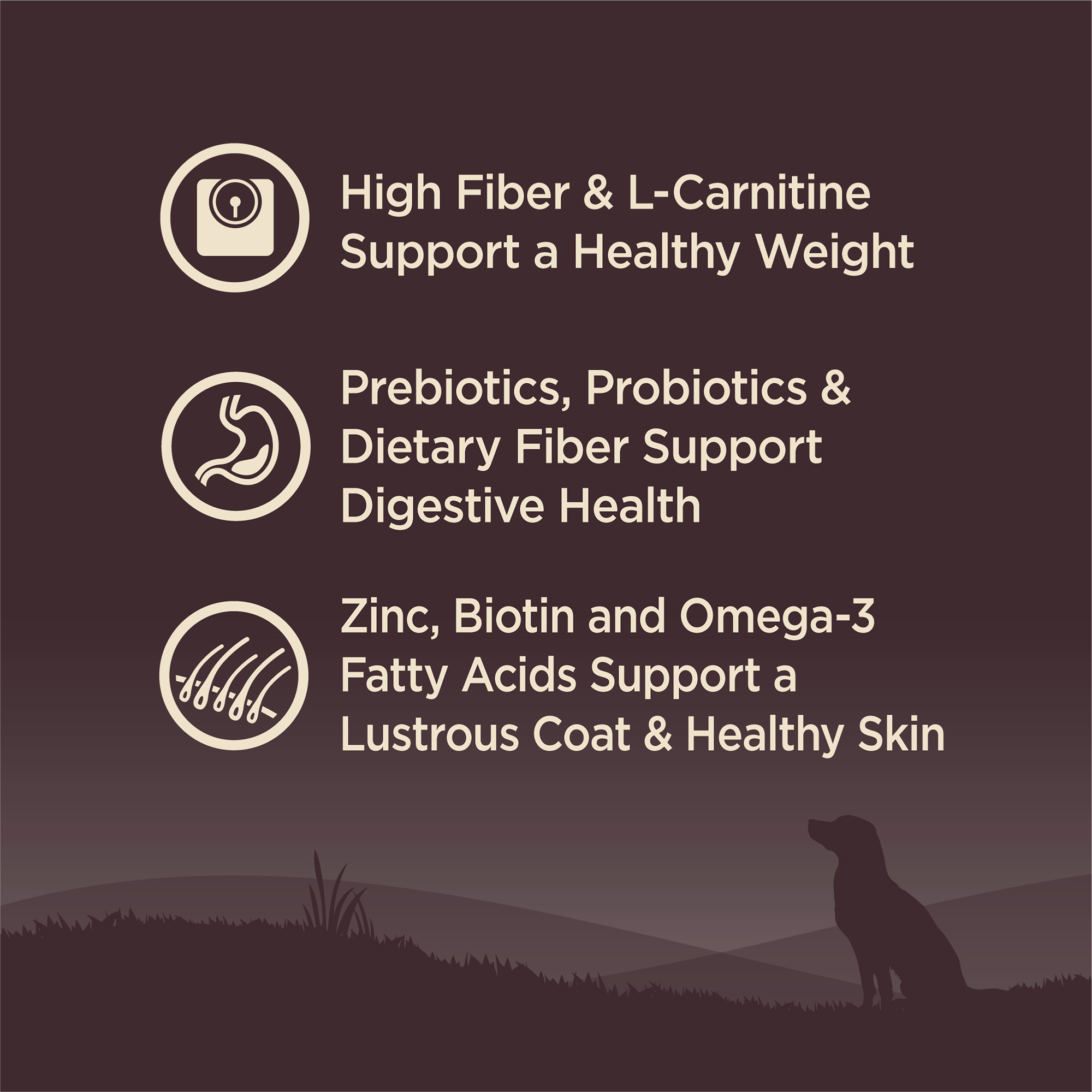 Wellness core low fat dog food on sale