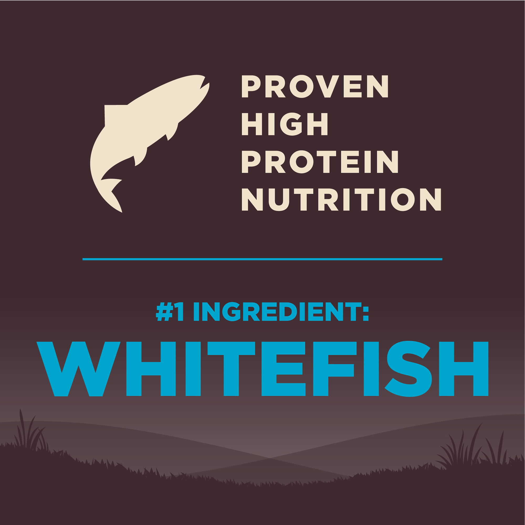 CORE Ocean Wellness Pet Food Singapore