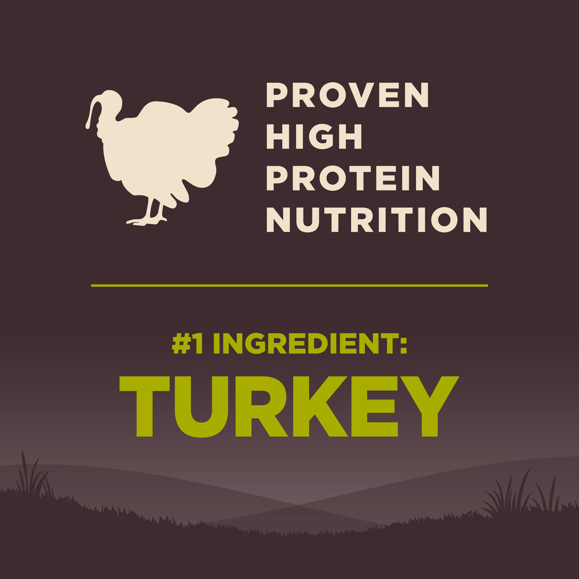 Wellness core healthy weight small breed 2025