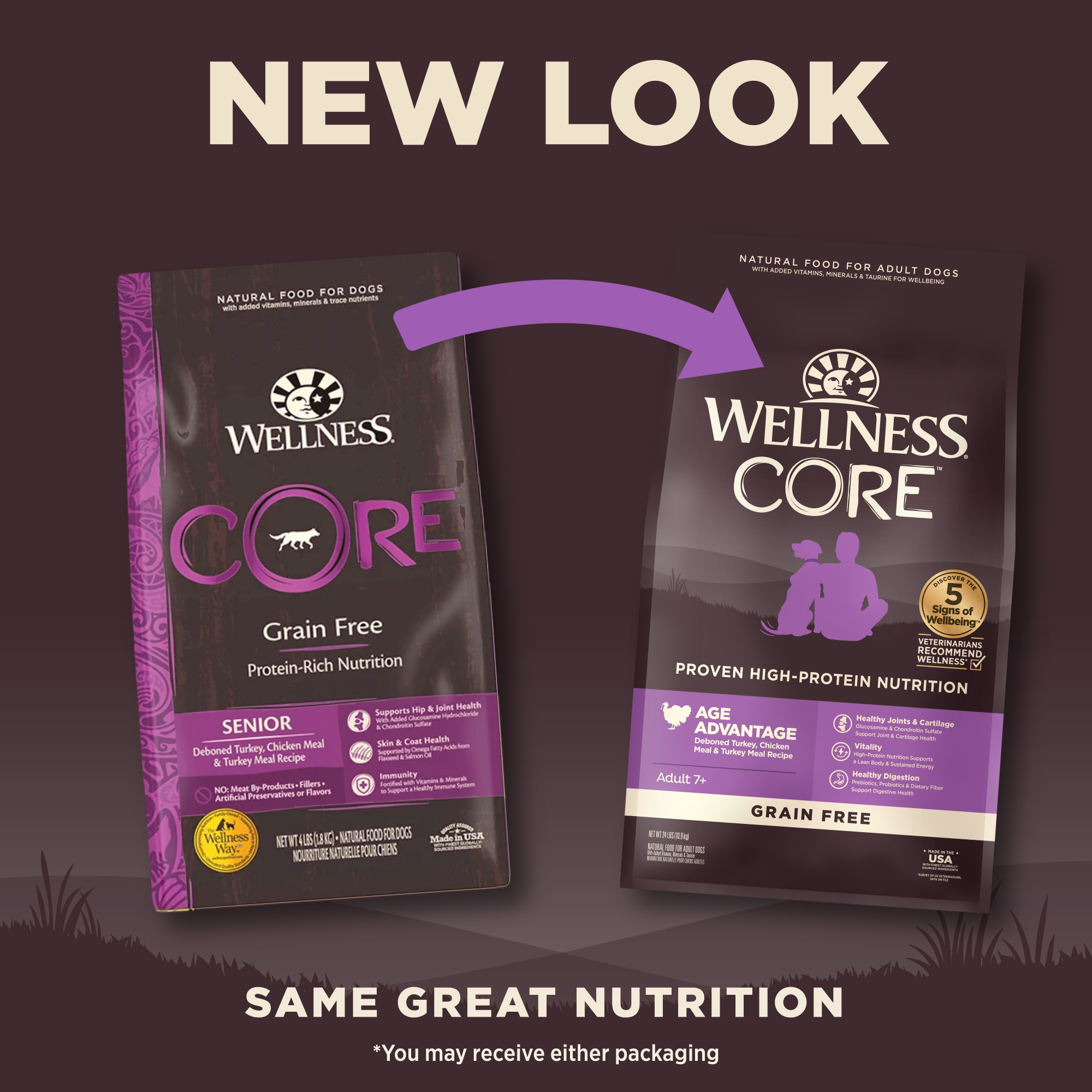 Wellness senior dog food top