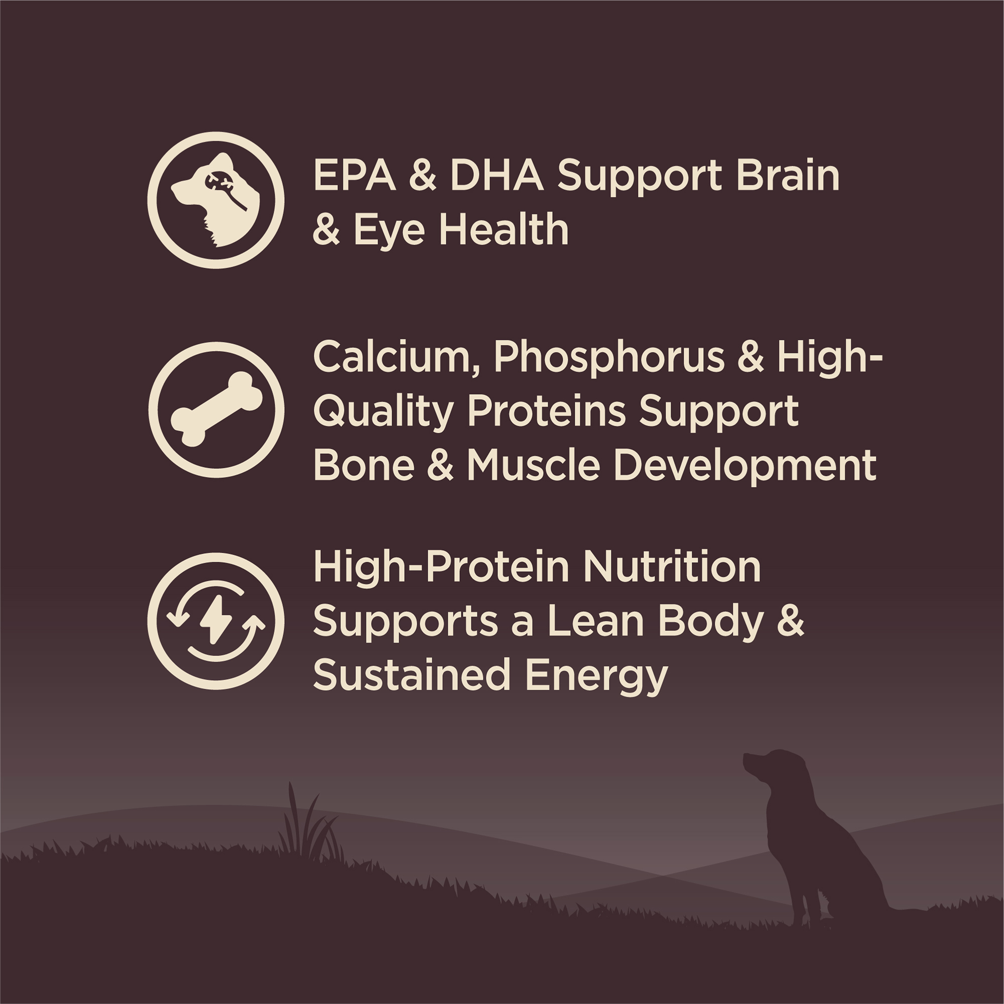 Dog food high in protein and calcium clearance