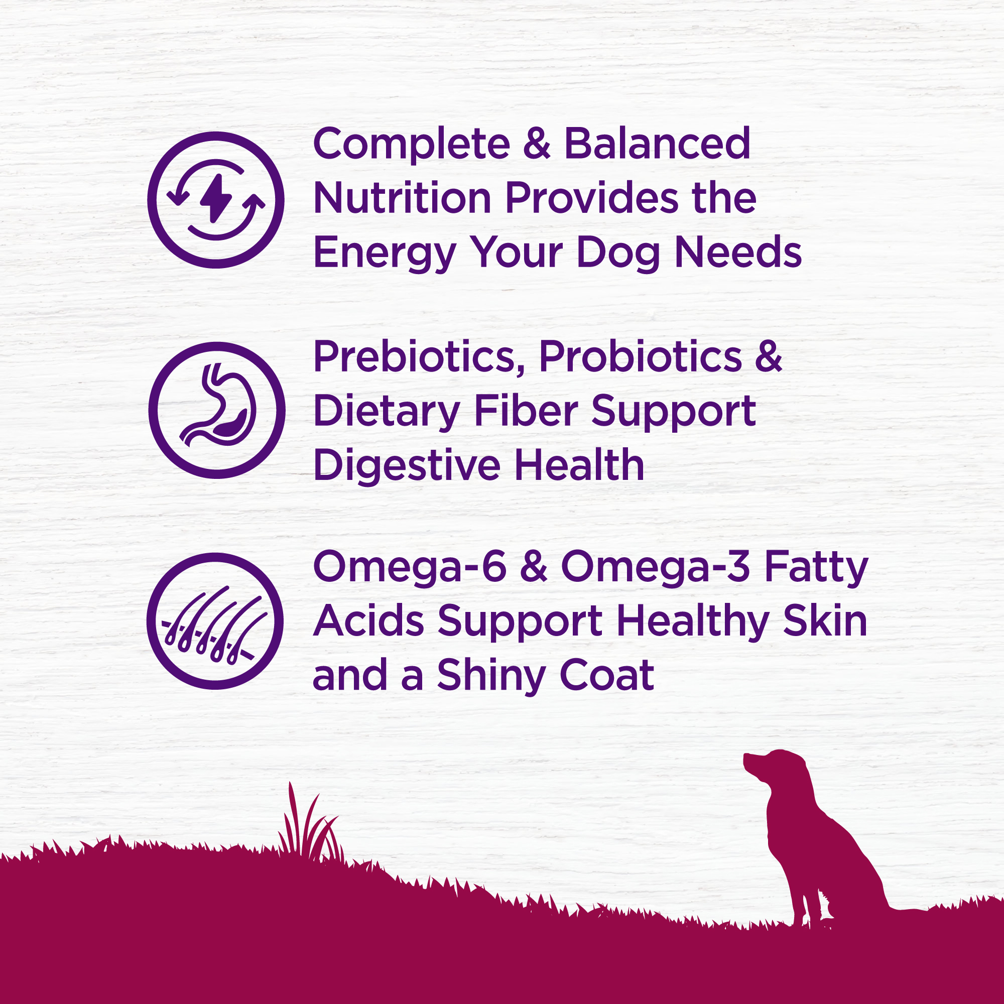 Complete Health Grain Free Small Breed Wellness Pet Food Singapore