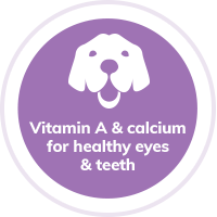 dog-healthy-eyes-teeth