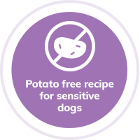 dog-grain-free