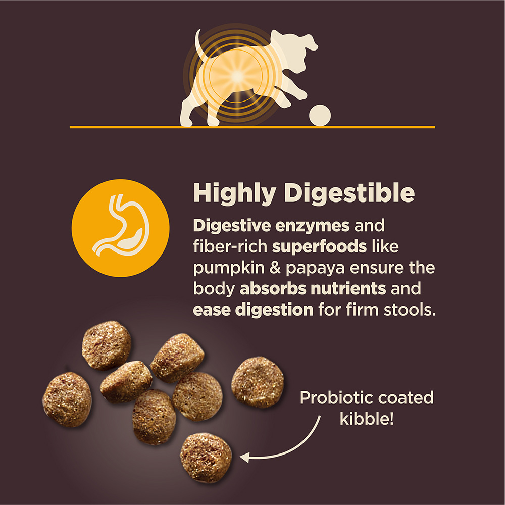 Highly digestible puppy food 2025