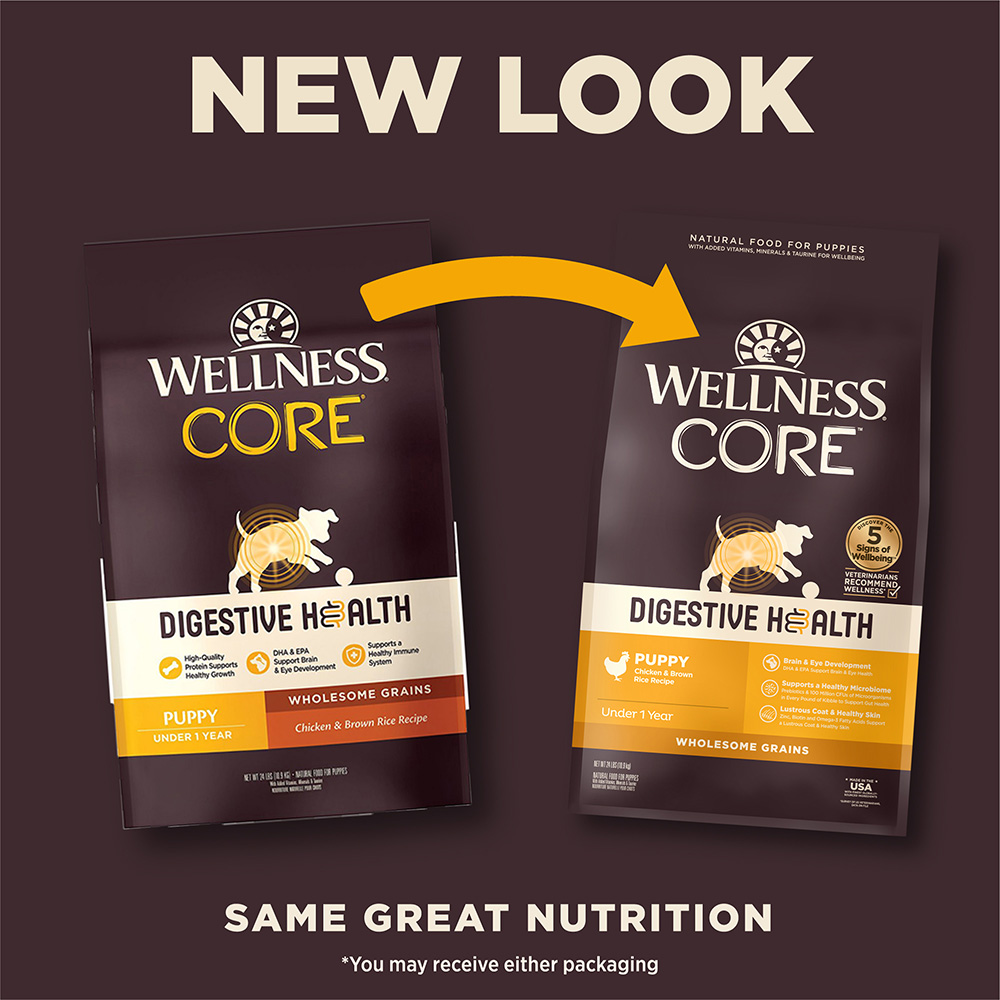 Digestive health dog food new arrivals